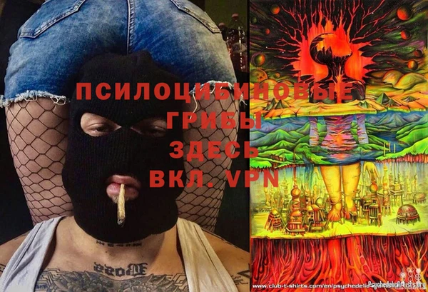 мдпв Арсеньев