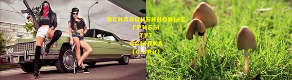 тгк Усмань