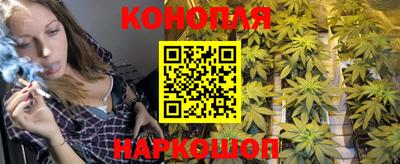 mdma Аргун