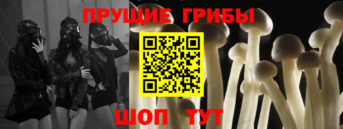 Галлюциногенные грибы GOLDEN TEACHER  Галлюциногенные грибы Psilocybe  где купить наркоту  Балабаново  Вход с VPN 