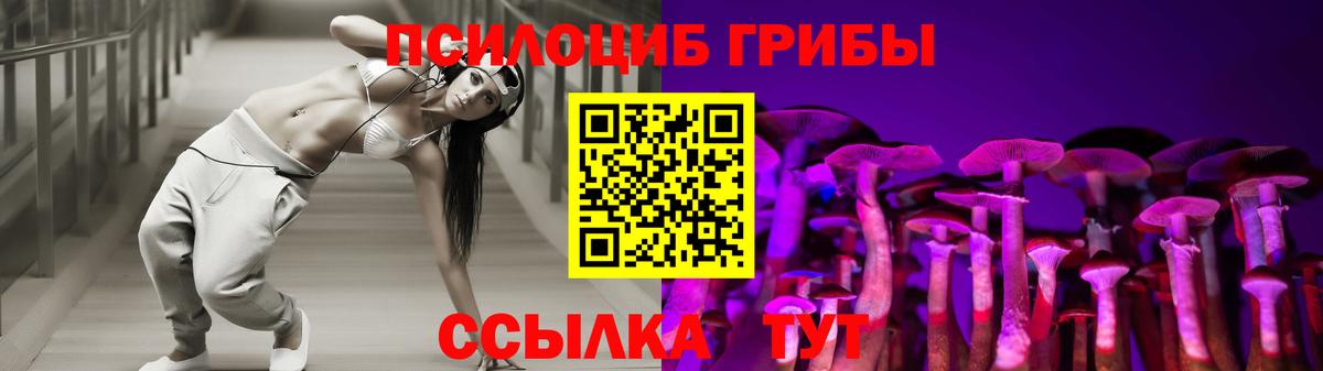 Галлюциногенные грибы Psilocybine cubensis Балабаново